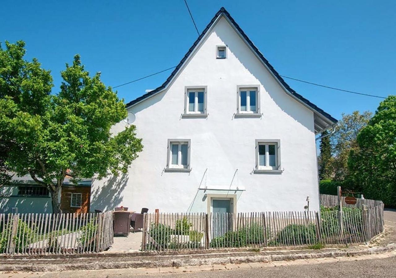 Ferienwohnung Im Weingewoelbe Staufen im Breisgau Eksteriør billede